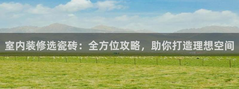 杏鑫官网最新信息新闻报道