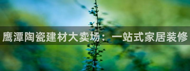杏鑫平台代理怎么样赚钱