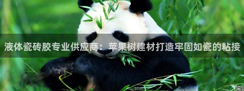 杏鑫平台代理怎么样赚钱