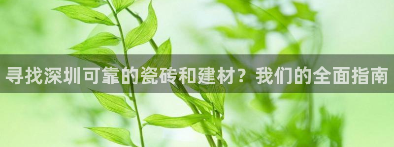 杏鑫平台招商怎么样啊