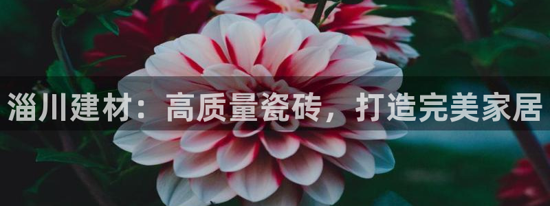 杏鑫平台待遇