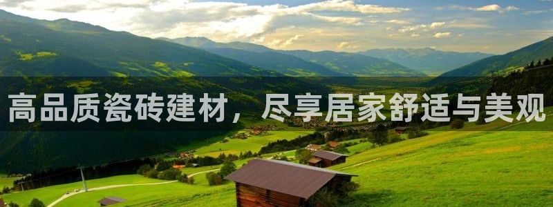杏鑫平台直属哪个公司