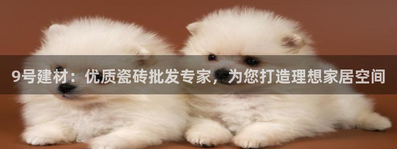 杏鑫平台正规吗