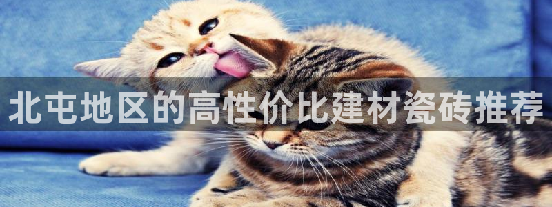 杏鑫平台怎么样黑钱吗