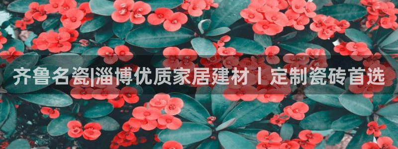 杏鑫平台招商电话