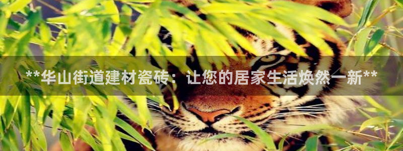 杏鑫平台登录地址在哪