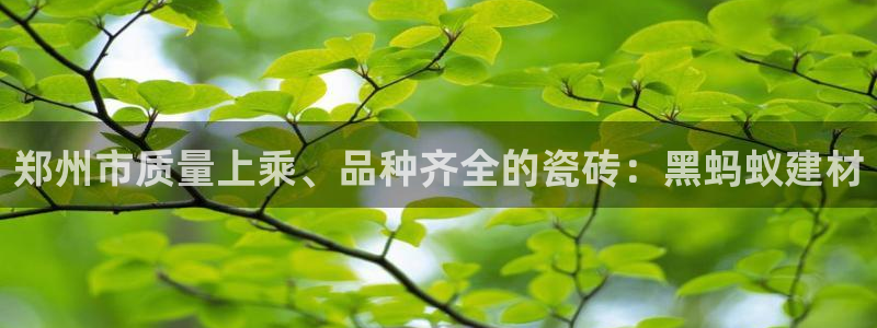 杏鑫平台下载安装