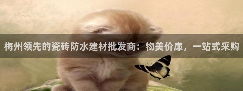 杏鑫平台代理注册登录不了怎么办呀苹果