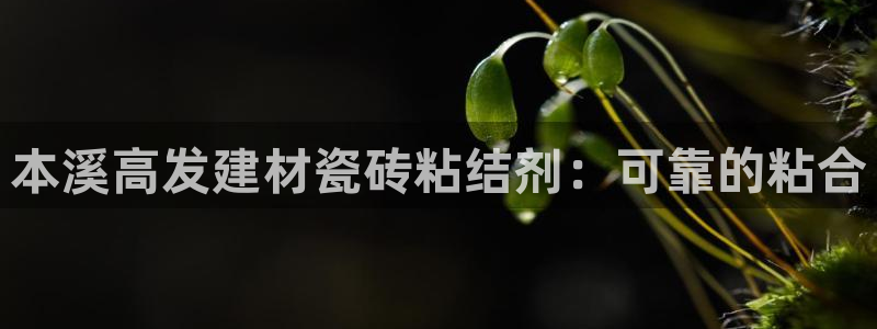 杏鑫平台官方网站