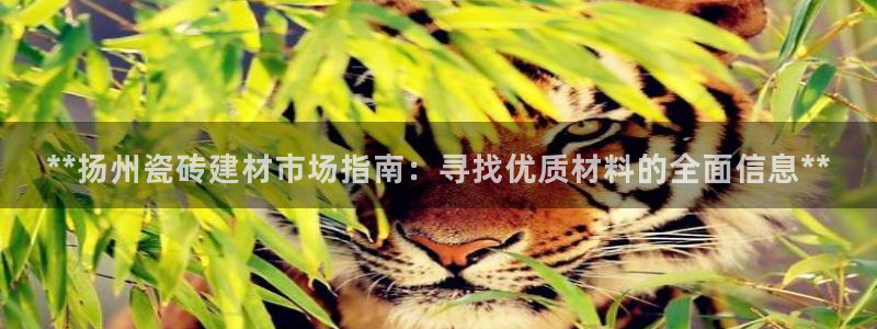 杏鑫代理注册登录