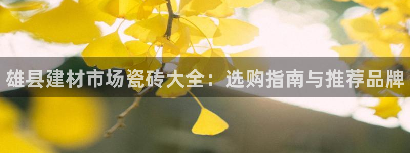 杏鑫平台代理怎么做的
