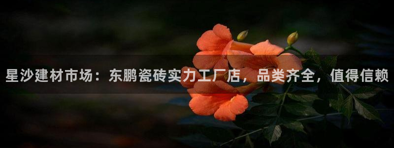 杏鑫注册
