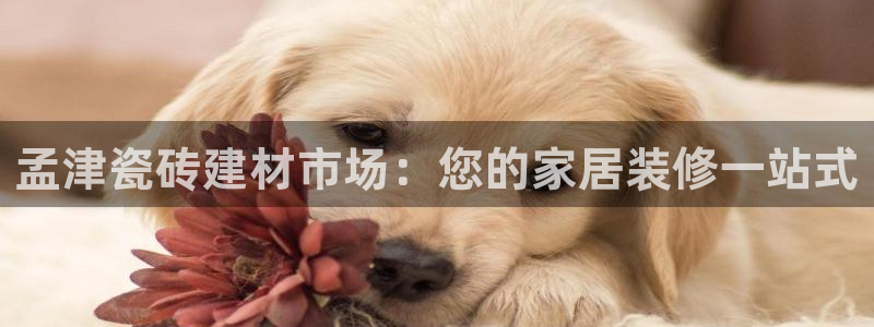 杏鑫官网注册账号怎么注册的