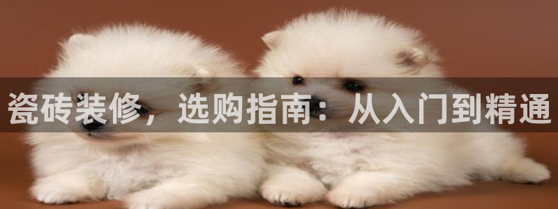 杏鑫平台测速