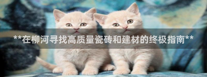 杏鑫官网最新信息新闻