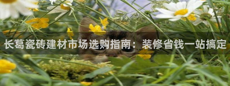 杏鑫注册平台官方网站
