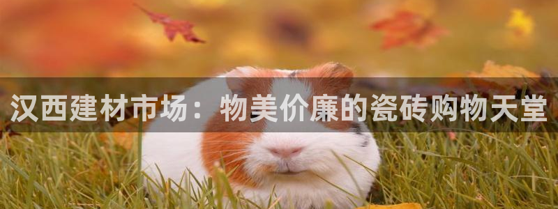 杏鑫娱乐是合法的吗?
