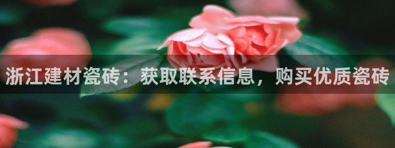 杏鑫平台招商怎么样