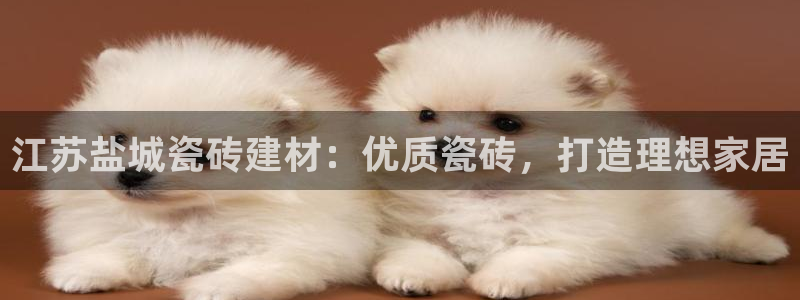 杏鑫平台平台