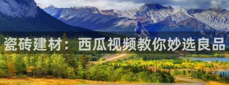 杏鑫平台直属哪个公司