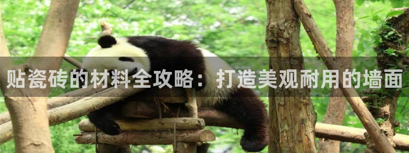 杏鑫平台招商怎么样啊