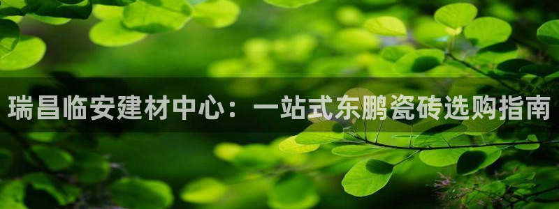 杏鑫官方平台怎么样啊可靠吗