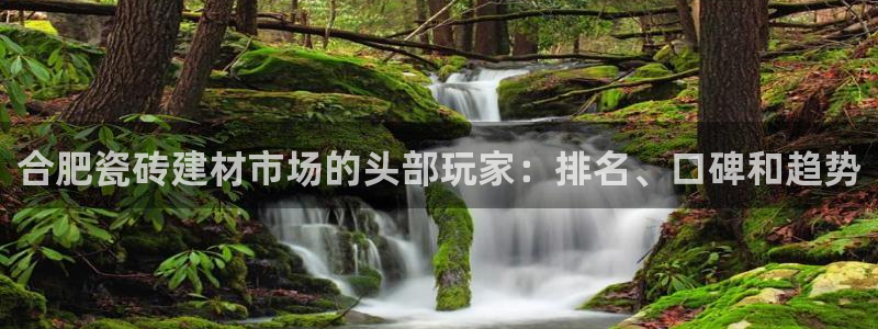 杏鑫平台代理注册流程及费用