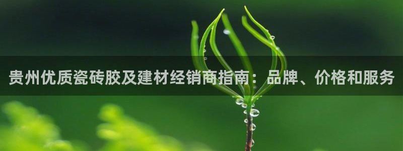 杏鑫平台代理注册登录不了怎么办呀苹果