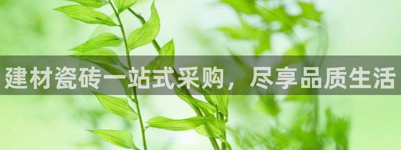 杏鑫3主管