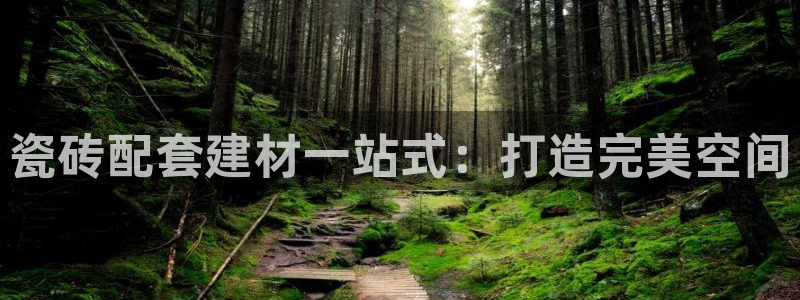杏鑫平台注册登录