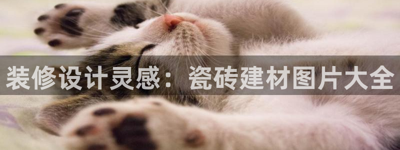 杏鑫平台正规吗