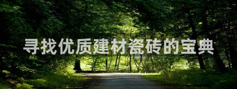 杏鑫平台代理注册流程