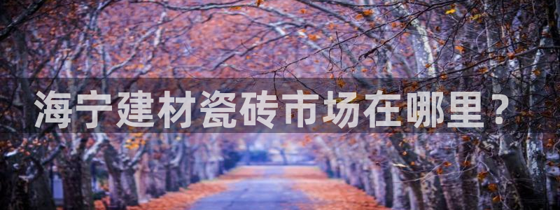 杏鑫官网最新信息新闻