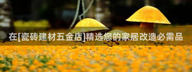 杏鑫平台正规吗是真的吗