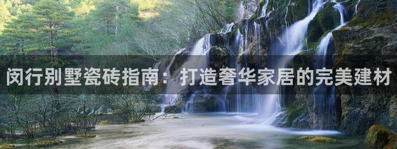 杏鑫3主管