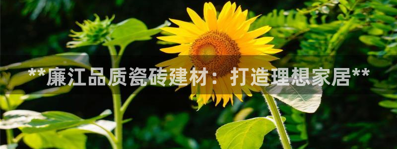 杏鑫手机客户端