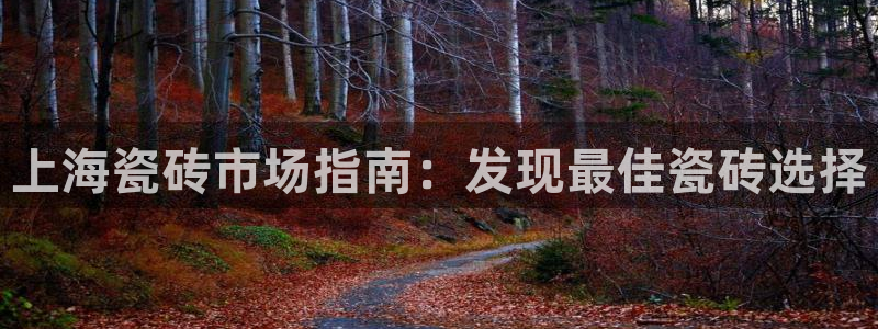 杏鑫平台是黑平台吗