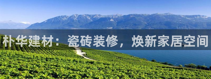 杏鑫平台是黑平台吗