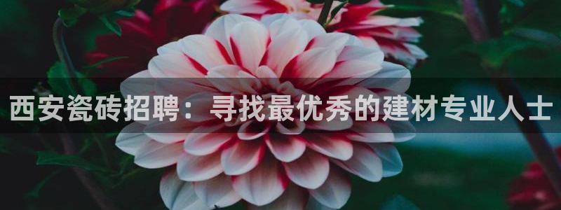 杏鑫平台是黑平台吗是真的吗