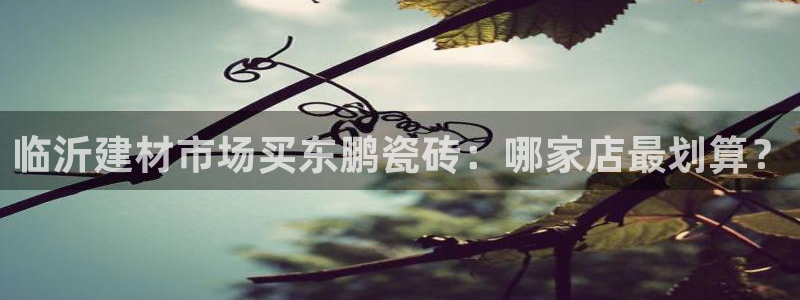 杏鑫娱乐开发团队