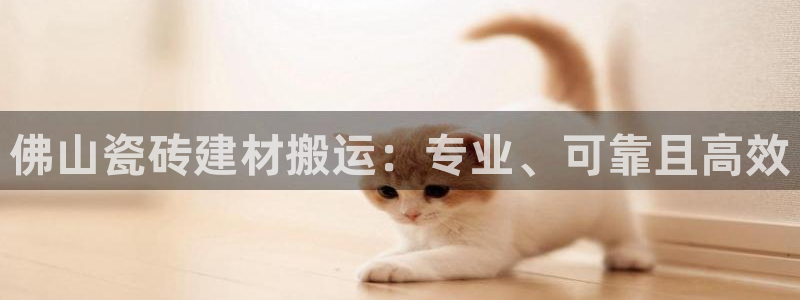 杏鑫官方app代理