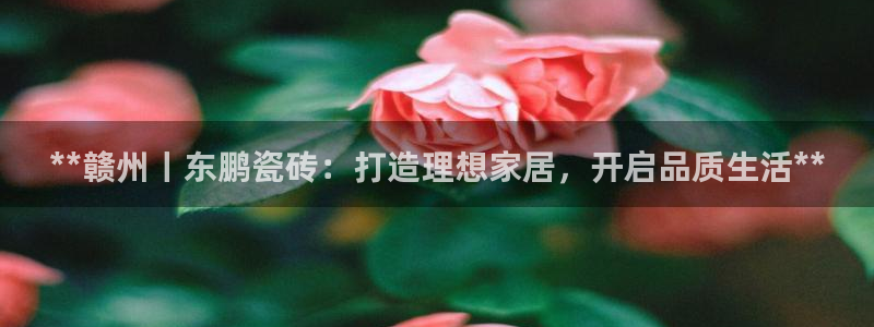 杏鑫平台招商电话号码是多少