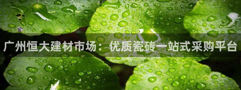 杏鑫平台列7O777