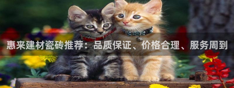 杏鑫平台测速怎么样