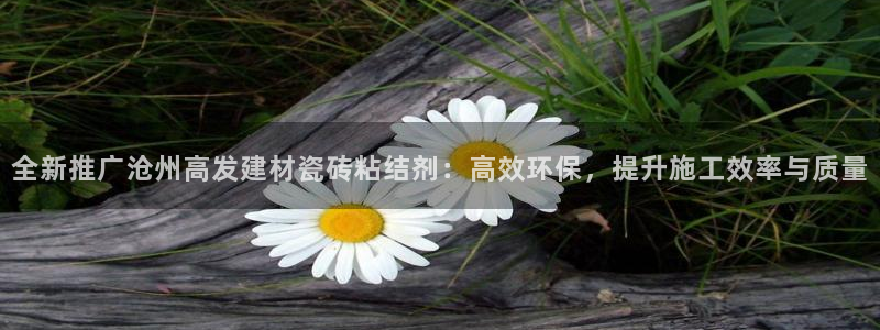杏鑫娱乐负责人