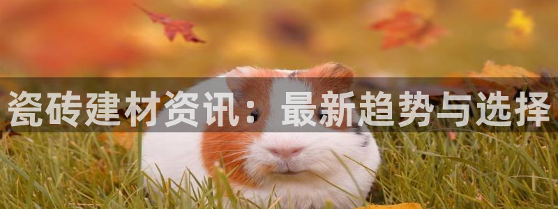 杏鑫平台招商怎么样可靠吗