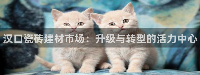 杏鑫平台招商怎么样啊