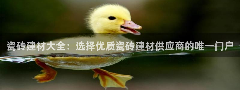 杏鑫娱乐官网首页