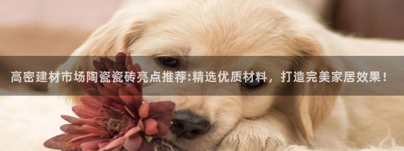杏鑫平台平台娱乐怎么样
