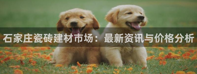 杏鑫平台代理怎么样可靠吗